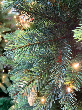 Елка "Кашемир" 